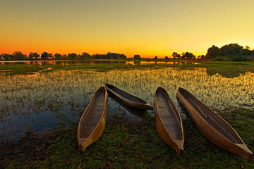 Sunrise over the Okavango Delta, Botswana