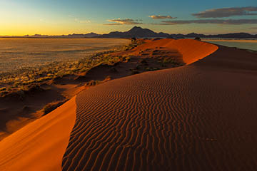 Wind swept patterns in the sand on the dune Namib Desert Namibia