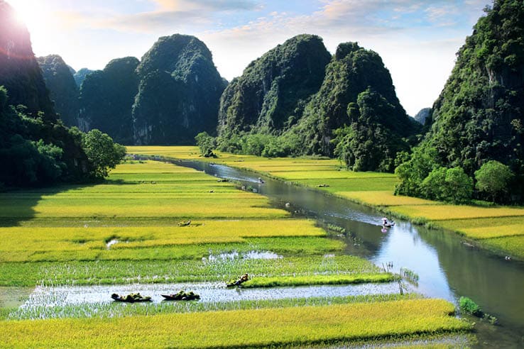 Rice field and river in NinhBinh, Vietnam