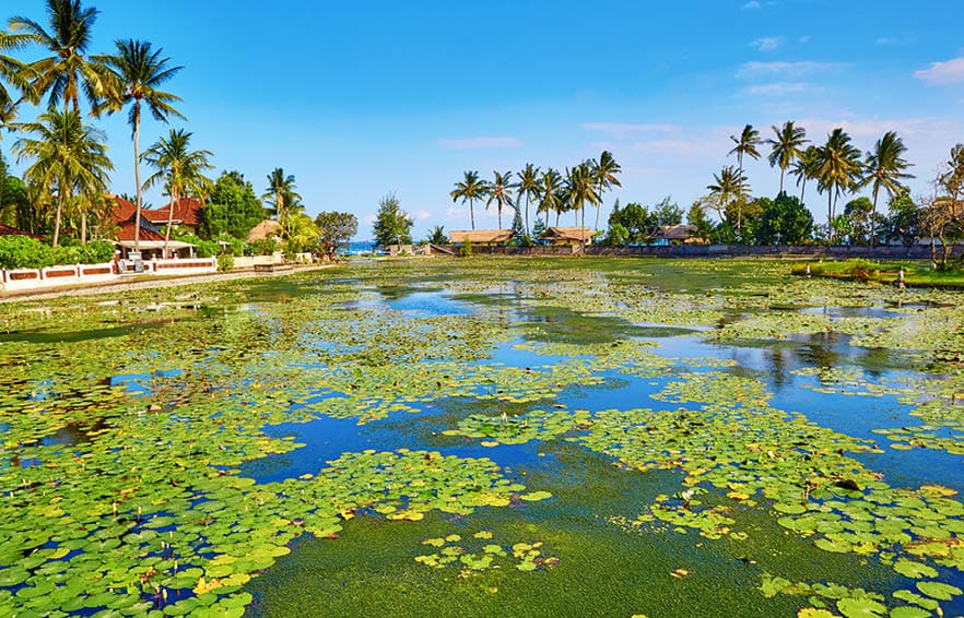 Beautiful lotus lagoon in Candidasa, Bali, Indonesia