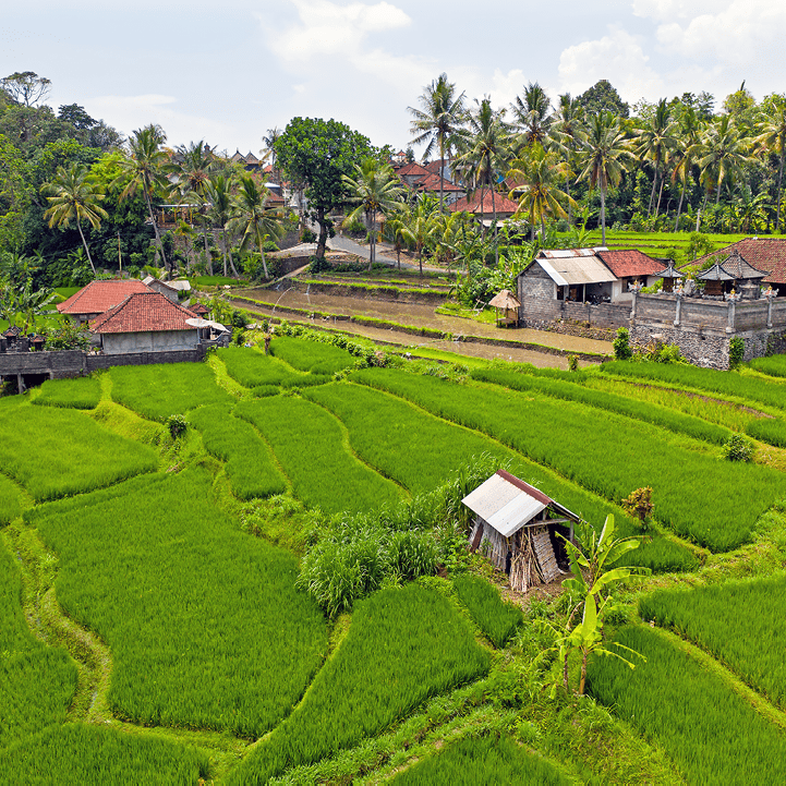 Aerial from rice terraces in Sidemen on Bali Indonesia