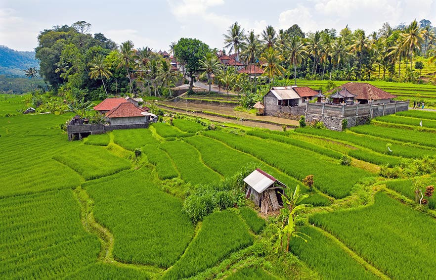 Aerial from rice terraces in Sidemen on Bali Indonesia