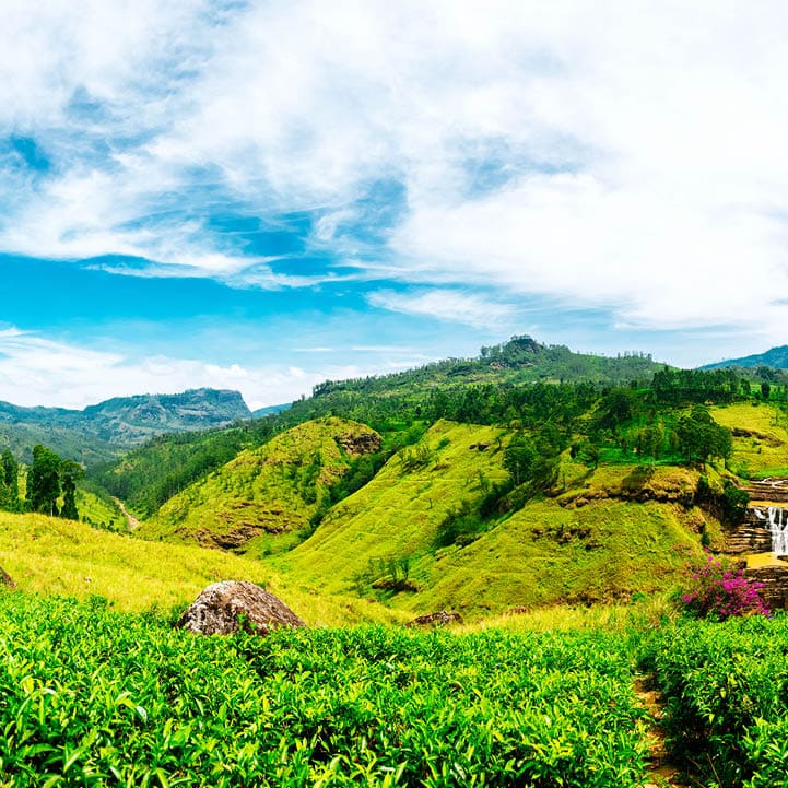 Waterfall valley near Nuwara Eliya, Sri Lanka. Tea plantations on the foreground. Waterfall, mountains and blue sky with clouds on the background. Shot taken with Canon 5D mk III. High resolution panorama.