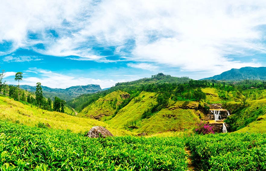 Waterfall valley near Nuwara Eliya, Sri Lanka. Tea plantations on the foreground. Waterfall, mountains and blue sky with clouds on the background. Shot taken with Canon 5D mk III. High resolution panorama.