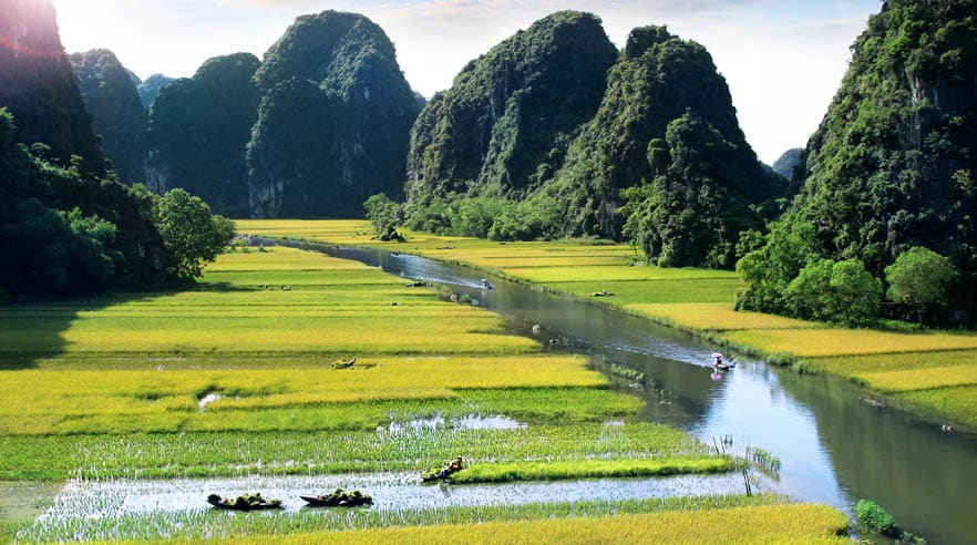 Rice field and river in NinhBinh, Vietnam