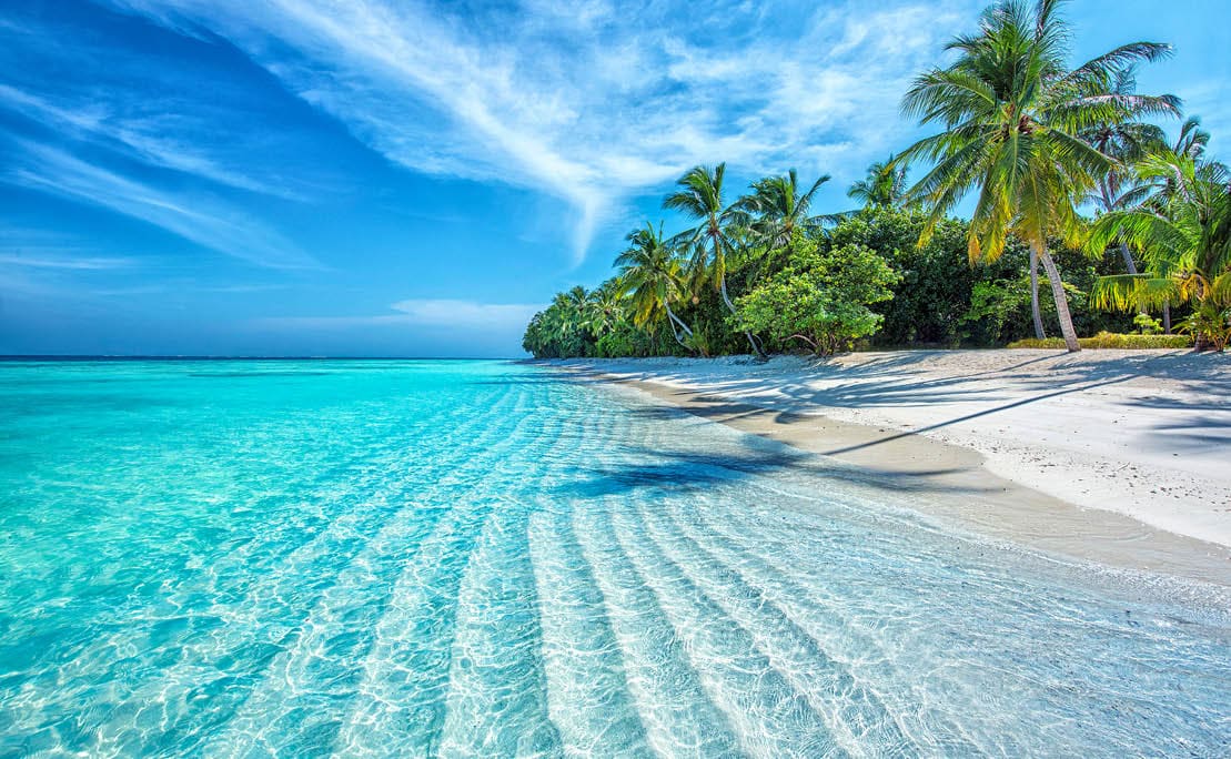 Maldives Islands Ocean Tropical Beach