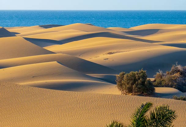 The famous Dunes of Maspalomas, Gran Canaria in summer