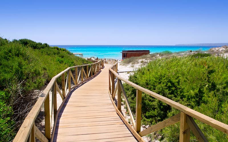 Formentera migjorn Els Arenals beach walkway of wood in Spain