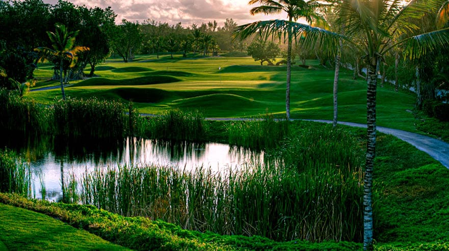 Bavaro Golf Club