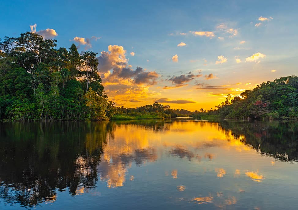 Reflection of a sunset by a lagoon inside the Amazon Rainforest Basin. The Amazon river basin comprises the countries of Brazil, Bolivia, Colombia, Ecuador, Guyana, Suriname, Peru and Venezuela.