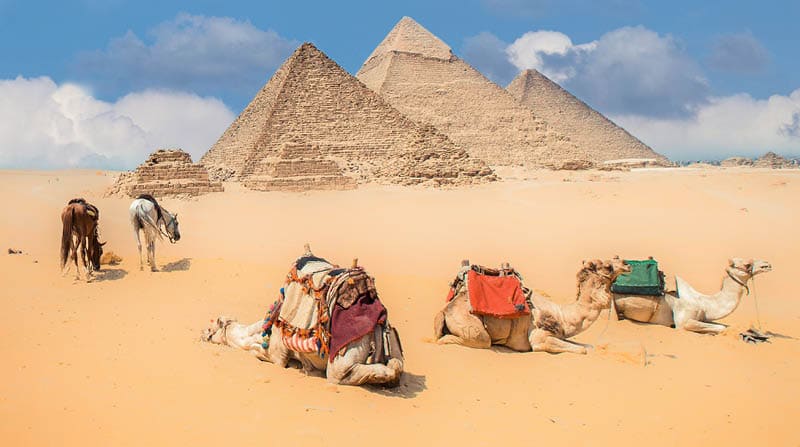 Cairo / Egypt