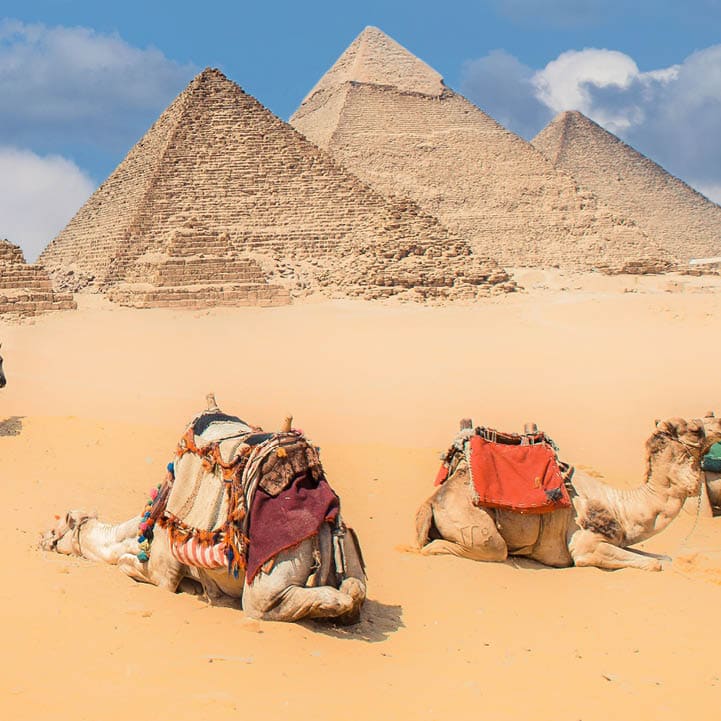 Cairo / Egypt