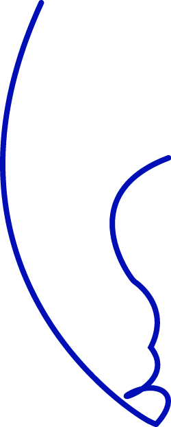Polygon