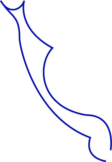 Polygon