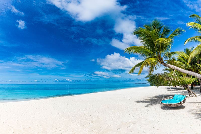 Tropical beach background as summer relax landscape with beach swing or hammock and white sand and calm sea for beach template. Amazing beach scene vacation and summer holiday concept. Luxury travel
