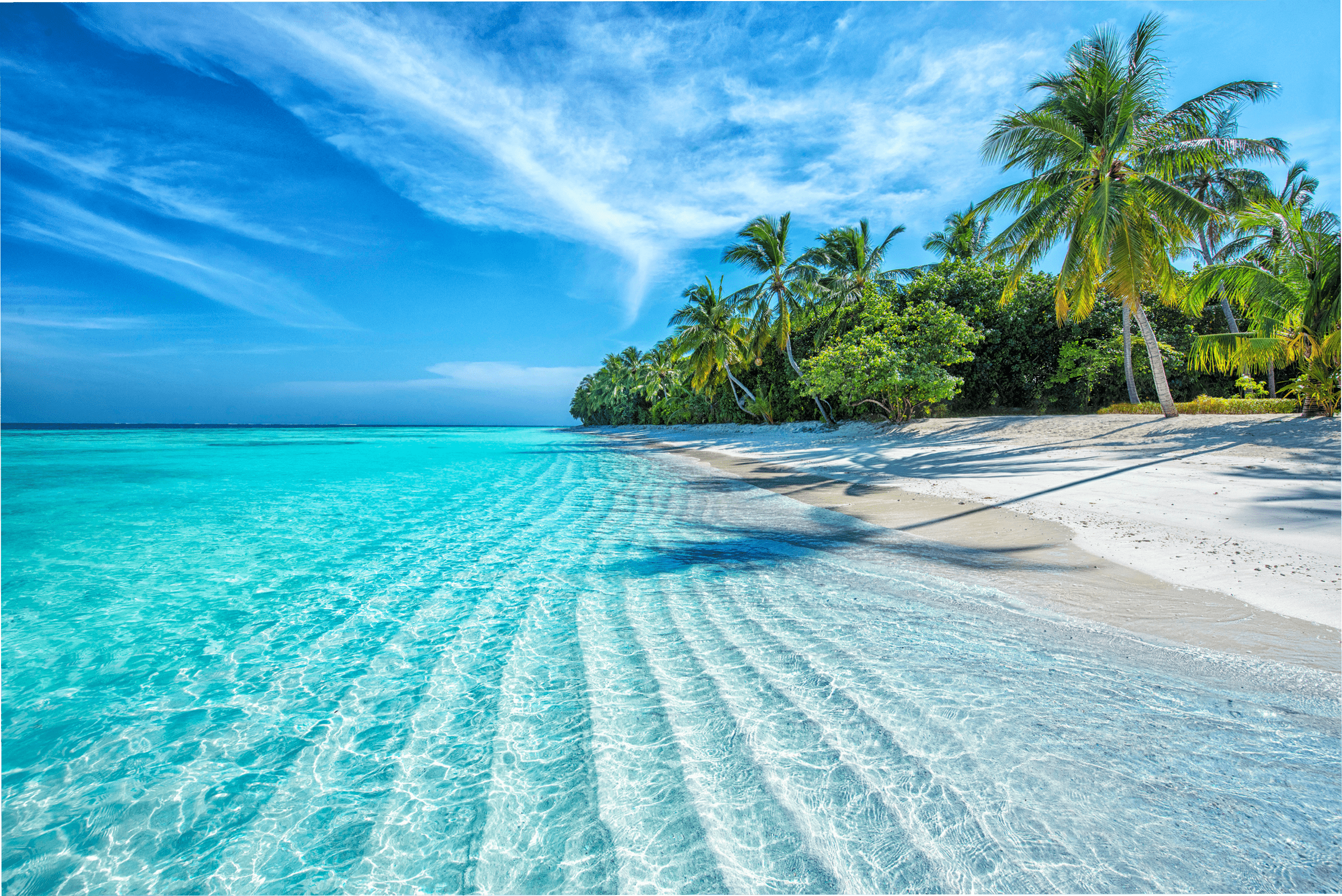 Maldives Islands Ocean Tropical Beach