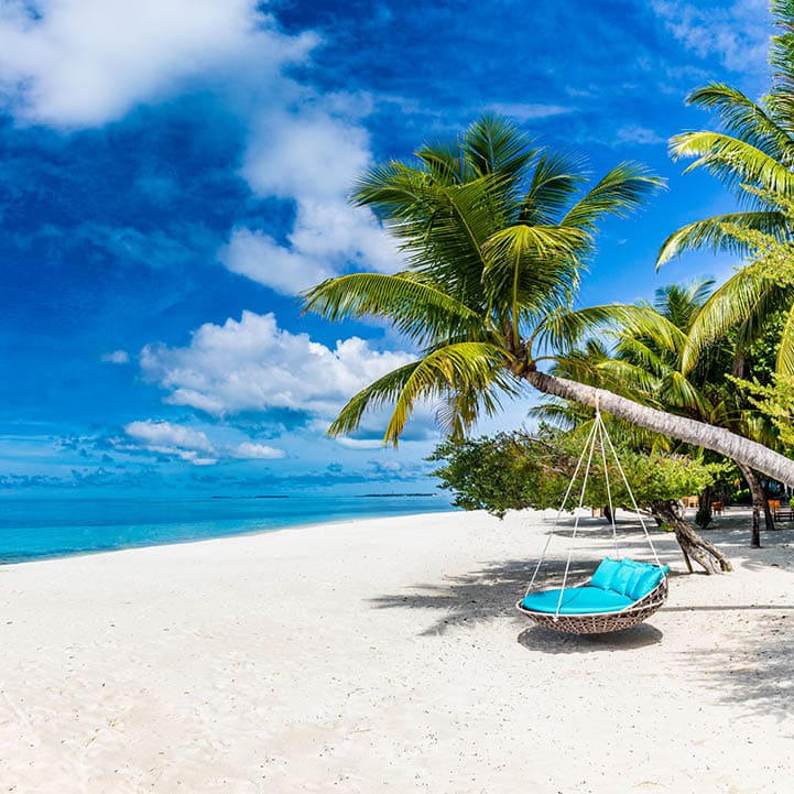Tropical beach background as summer relax landscape with beach swing or hammock and white sand and calm sea for beach template. Amazing beach scene vacation and summer holiday concept. Luxury travel