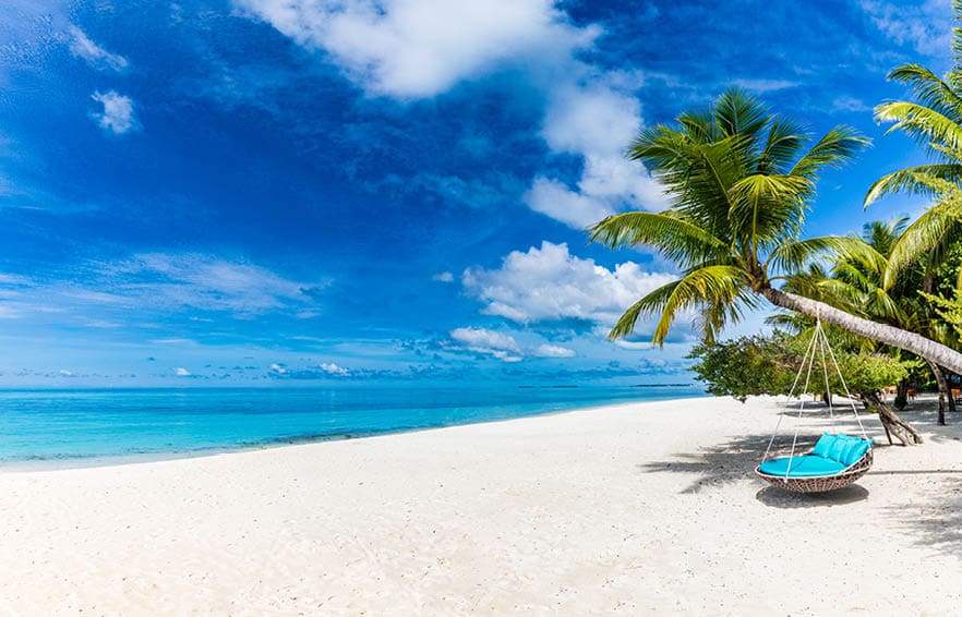 Tropical beach background as summer relax landscape with beach swing or hammock and white sand and calm sea for beach template. Amazing beach scene vacation and summer holiday concept. Luxury travel