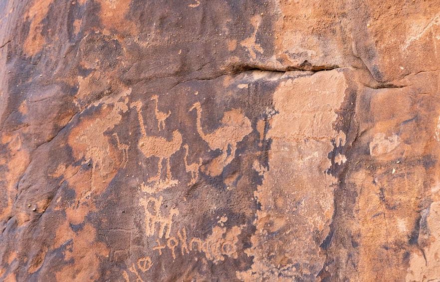 Middle East, Saudi Arabia, Hail Province, Jubbah. Ancient petroglyph of ostriches and other animals at the Jubbah rock art site at Ob Sinman Mountain.