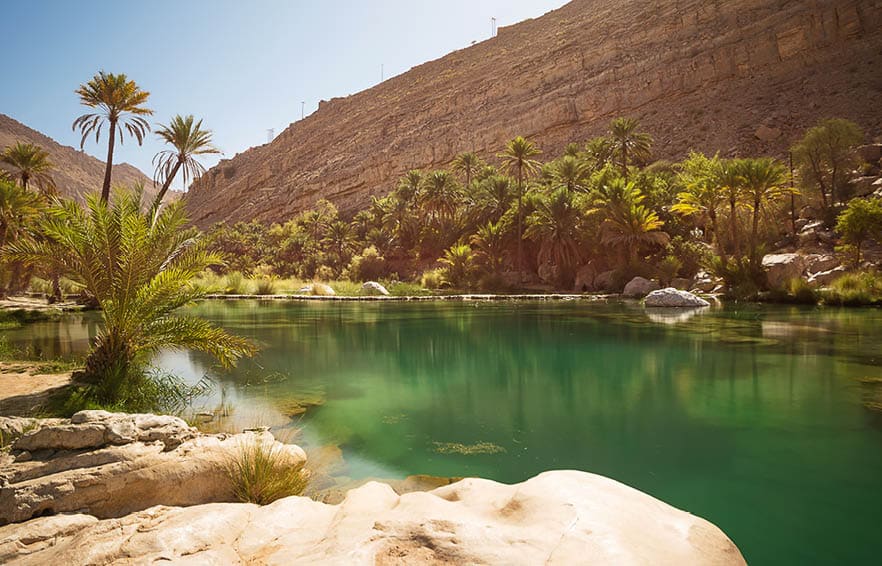 Amazing Lake and oasis with palm trees (Wadi Bani Khalid) in the Omani desert