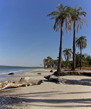 petite Casamance