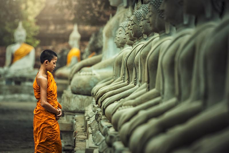 Novices monk vipassana meditation at front of Buddha statue