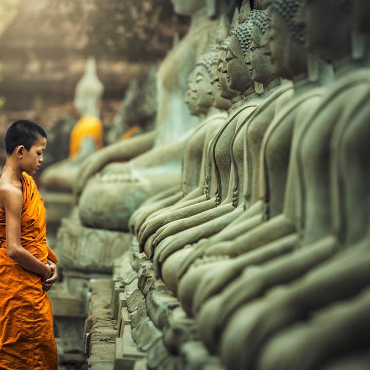 Novices monk vipassana meditation at front of Buddha statue