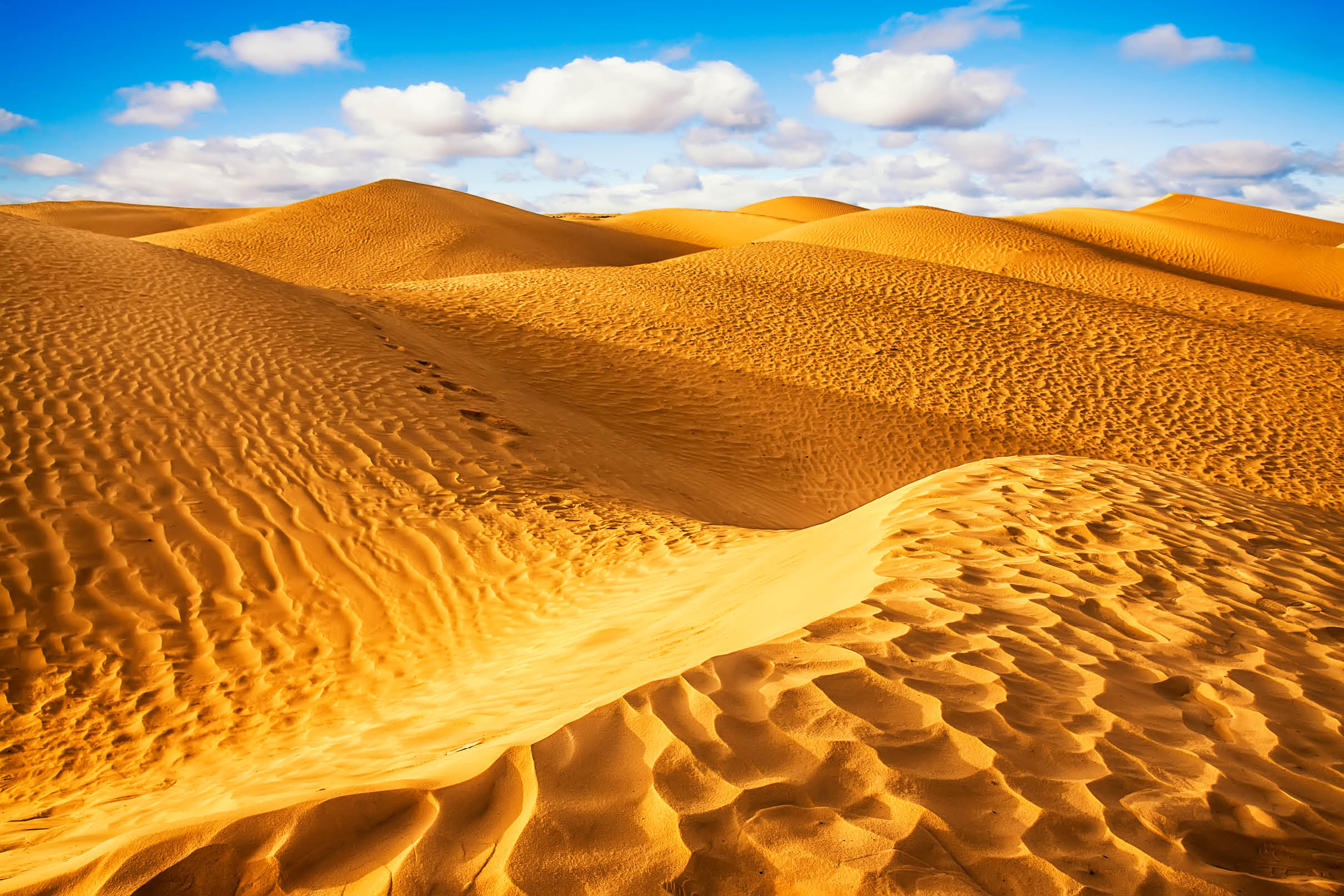 Sahara desert - Douz, Tunisia.