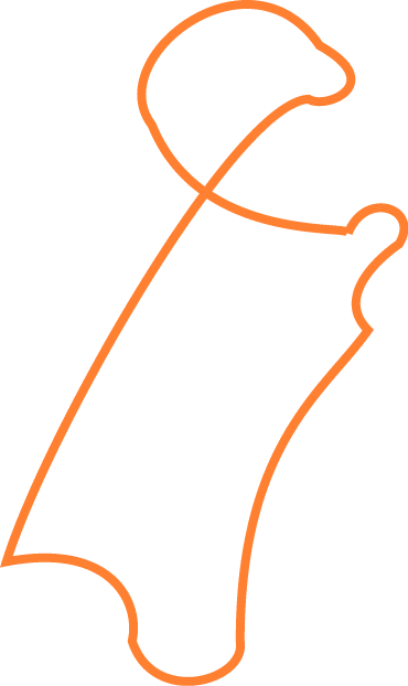 Polygon