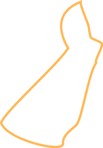Polygon