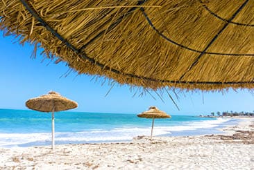 Landscape of parasols on the beach of Djerba in Tunisia 