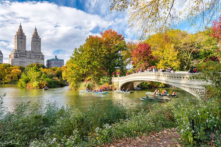 Beautiful foliage colors of New York Central Park.