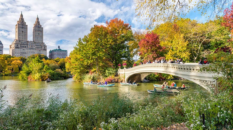Beautiful foliage colors of New York Central Park.